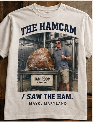 FAKE HAM TOURIST TEE — male tourist souvenir concept