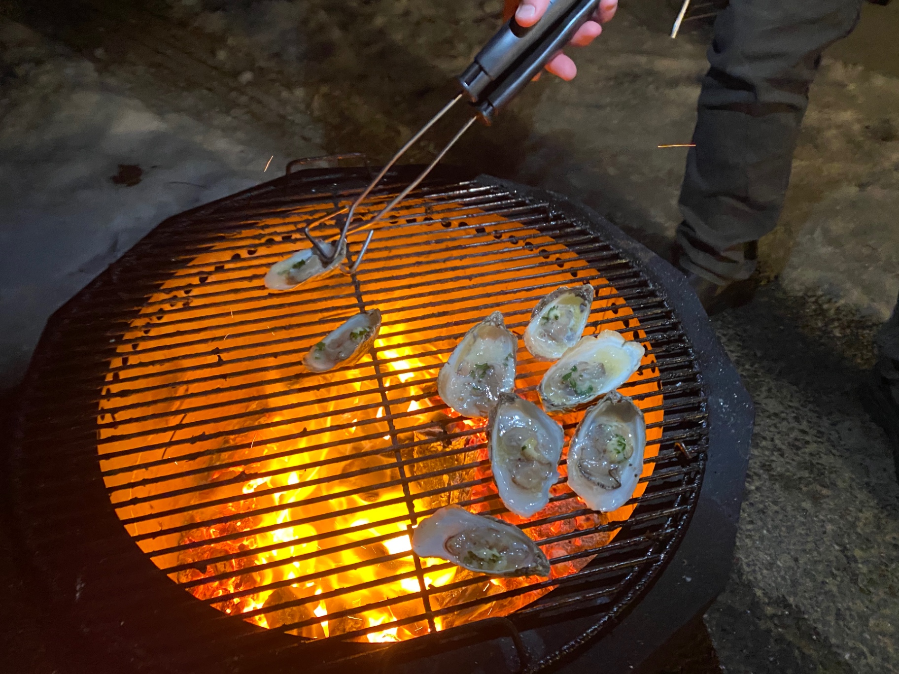 Oysters grilling over a bright open charcoal fire