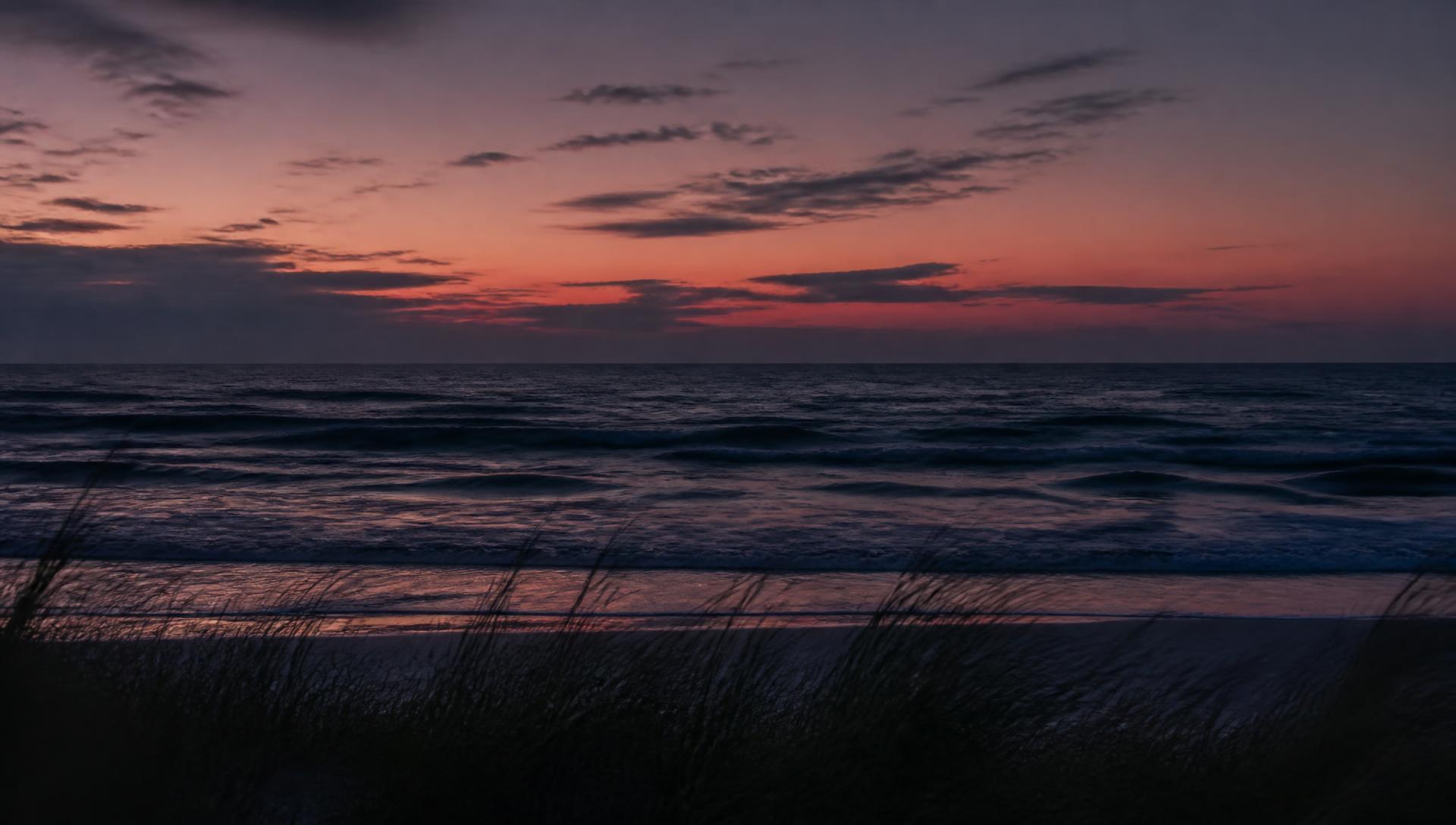 Dusk over the ocean with dune grass silhouetted in the foreground